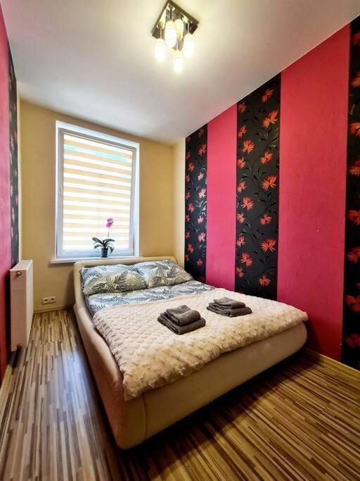 Mikolajki Apartament Miedzy Mostami Экстерьер фото
